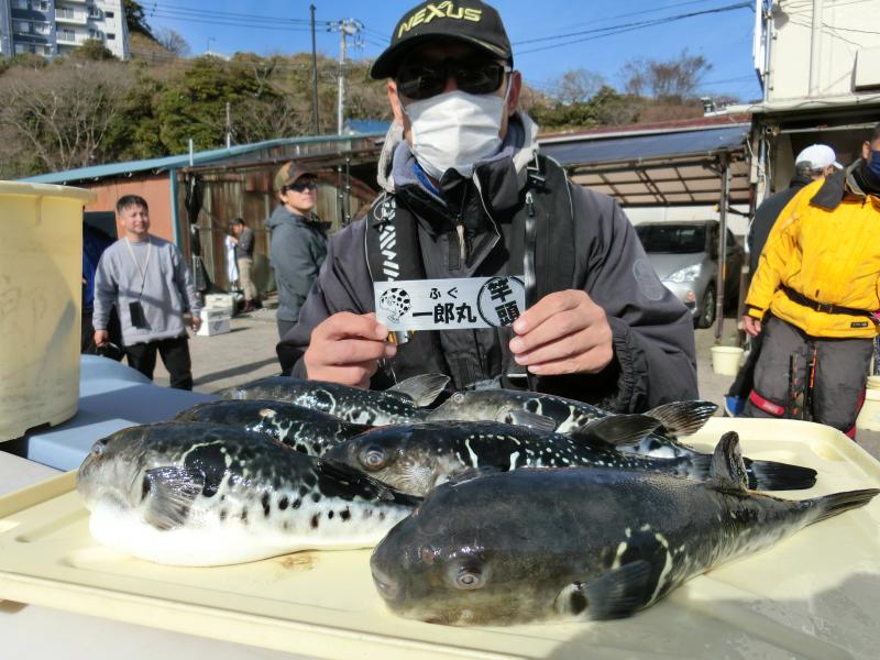 とらふぐ釣り好調です！！1枚目