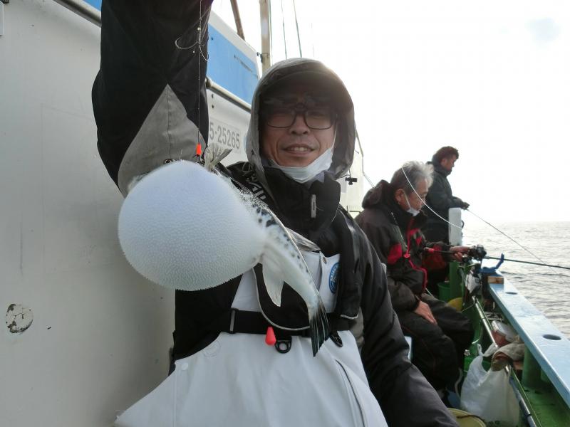 とらふぐ釣り好調です！！3枚目
