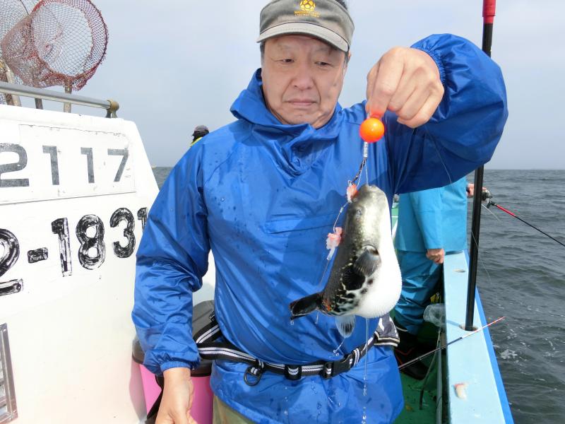 とらふぐ釣り5枚目