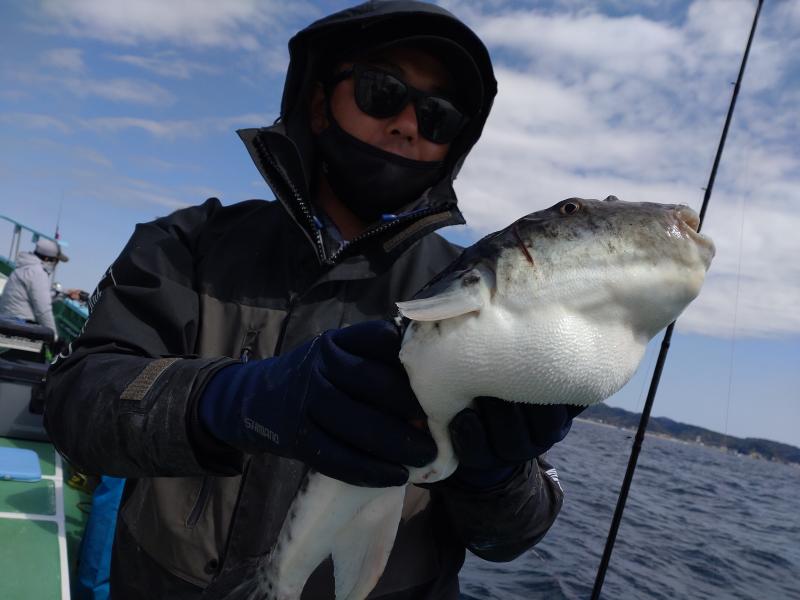 とらふぐ釣り1枚目