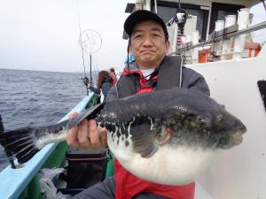 とらふぐ釣り