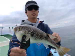 ふぐ釣り好調です！！