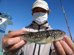 ふぐ釣り