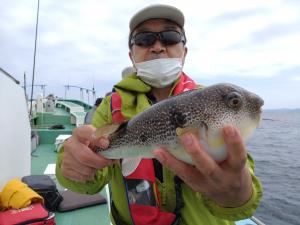 ふぐ釣り好調です！！