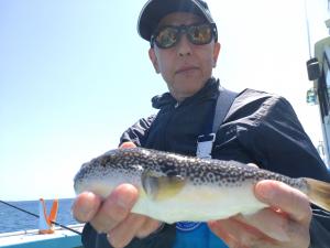 ふぐ釣り好調です！！