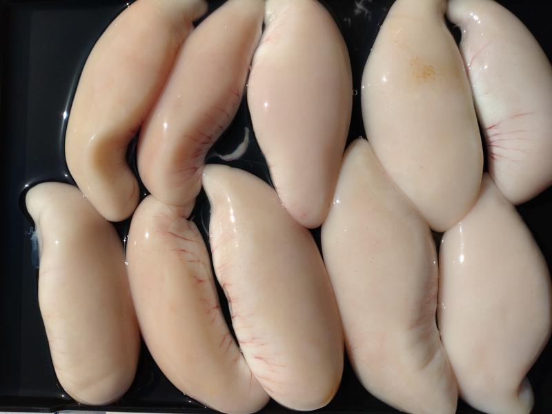 ふぐ釣り好調です！！4枚目