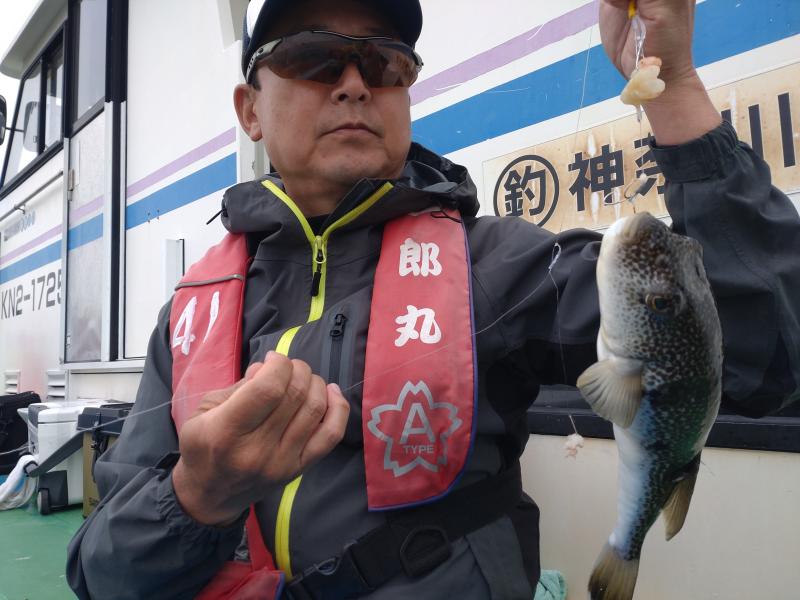 ふぐ釣り好調です！！2枚目