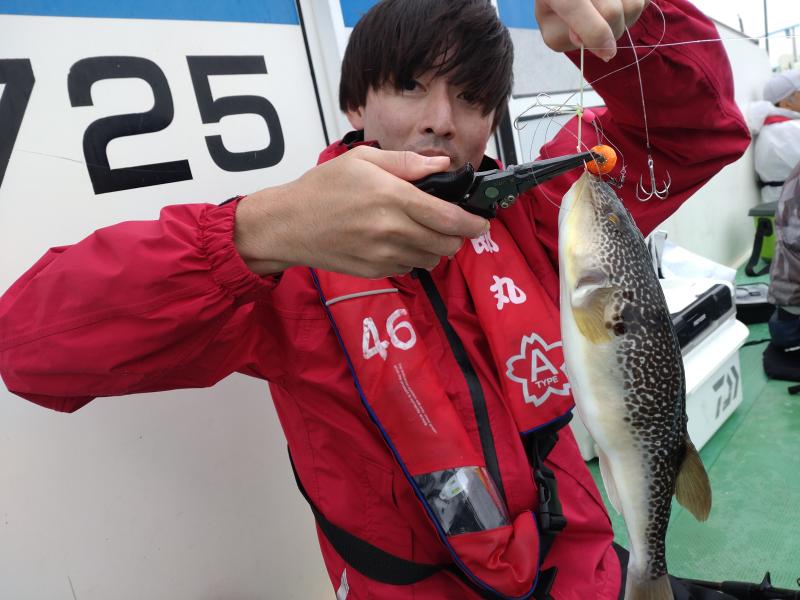 ふぐ釣り好調です！！2枚目