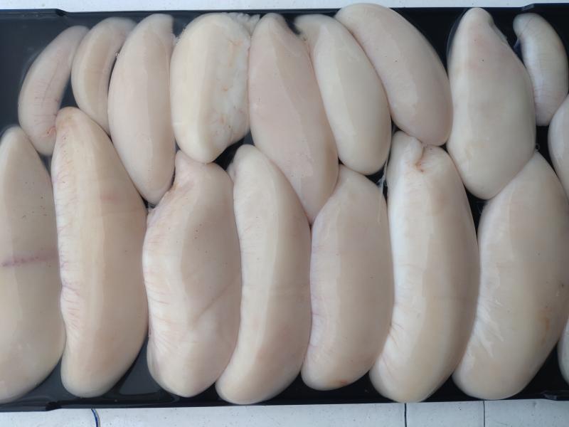 ふぐ釣り好調です！！3枚目