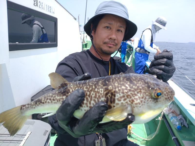 ふぐ釣り好調です！！3枚目