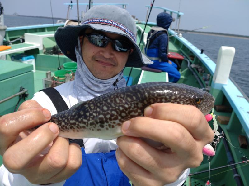 ふぐ釣り好調です！！4枚目