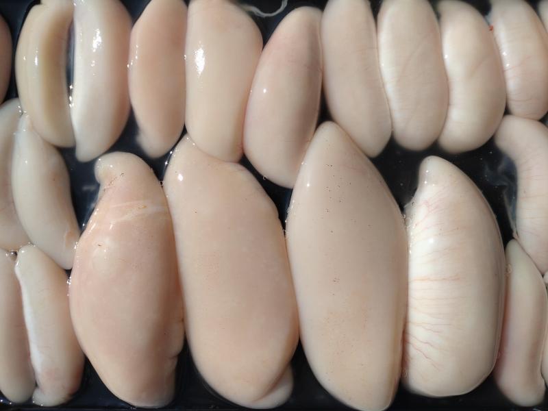 ふぐ釣り好調です！！5枚目