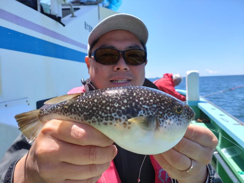ふぐ釣り好調です！！3枚目