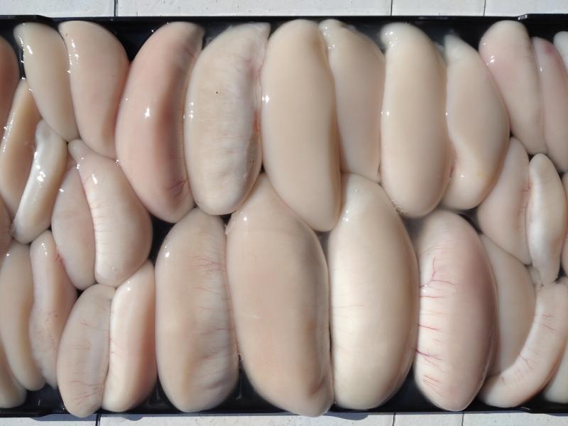 ふぐ釣り好調です！！4枚目