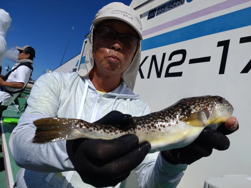 ふぐ釣り好調です！！1枚目