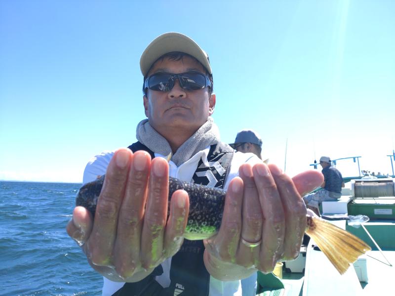 ふぐ釣り好調です！！3枚目