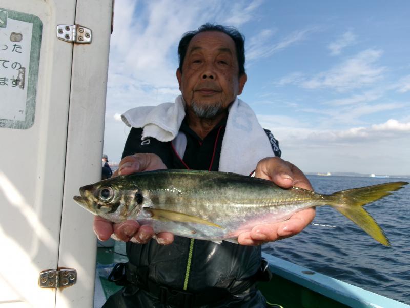 タチウオ・アジ共に大漁です！！2枚目