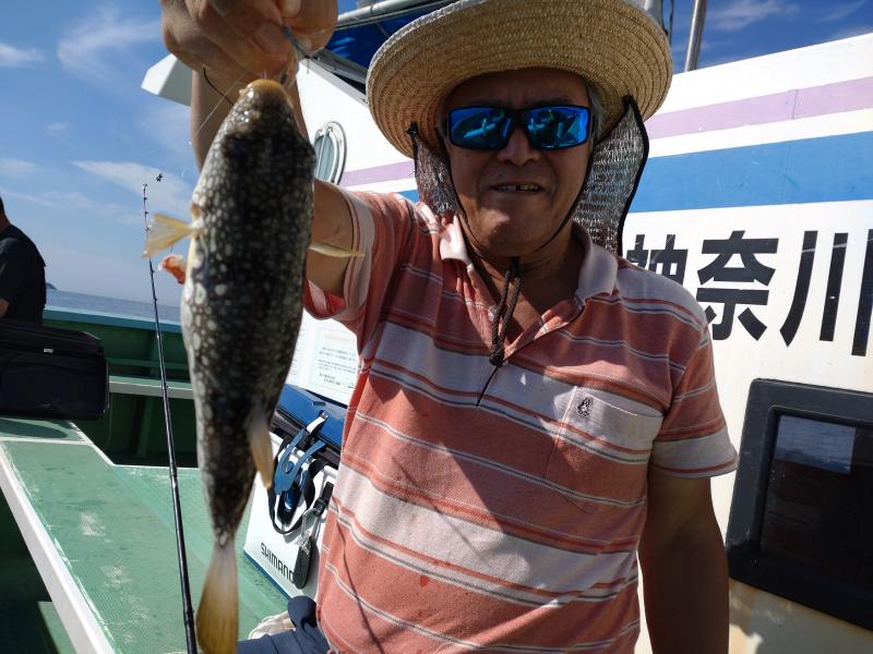 ふぐ釣り好調です！！1枚目