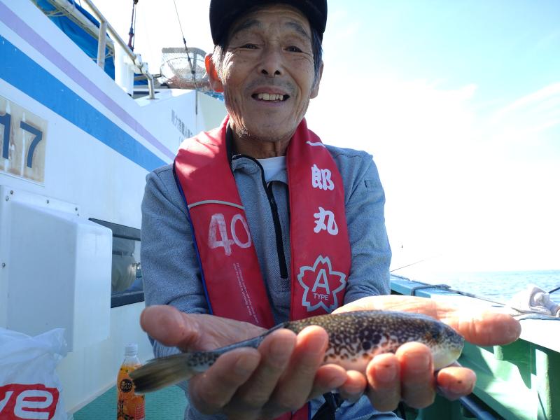 ふぐ釣り好調です！！2枚目