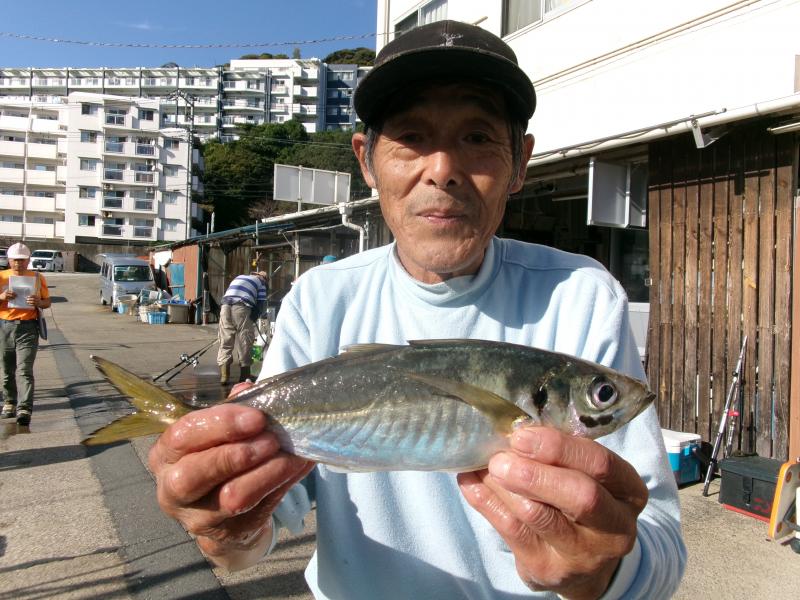 アジ好調です！！2枚目