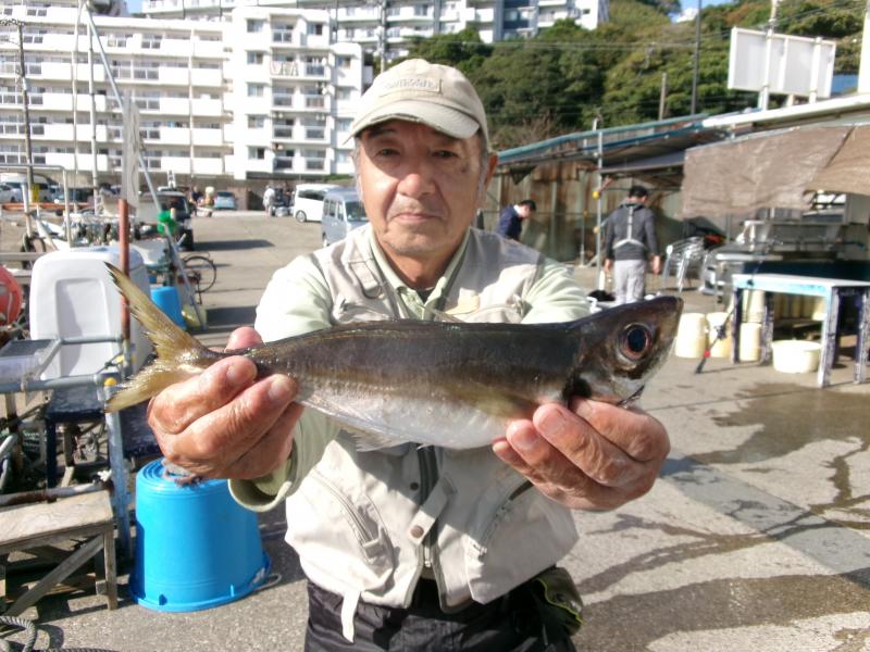 アジ大漁です！！2枚目