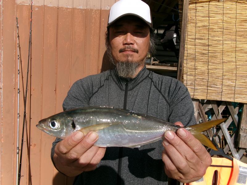 アジ大漁です！！3枚目