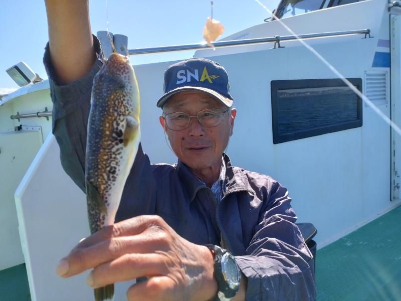 ふぐ釣り好調です！！1枚目