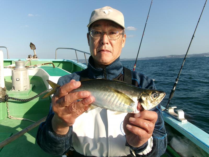 アジ好調です！！2枚目