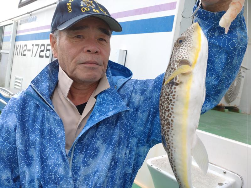 ふぐ釣り好調です！！2枚目