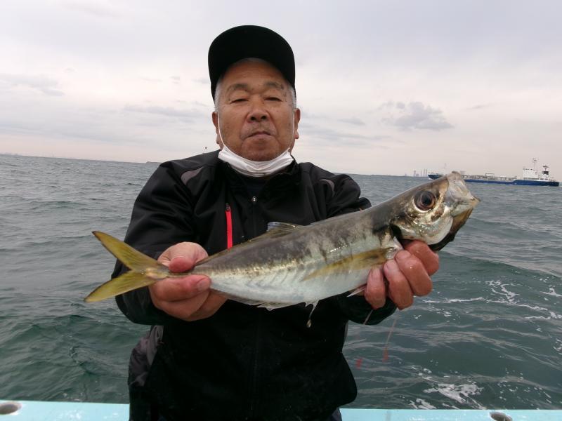 アジ大漁です！！2枚目