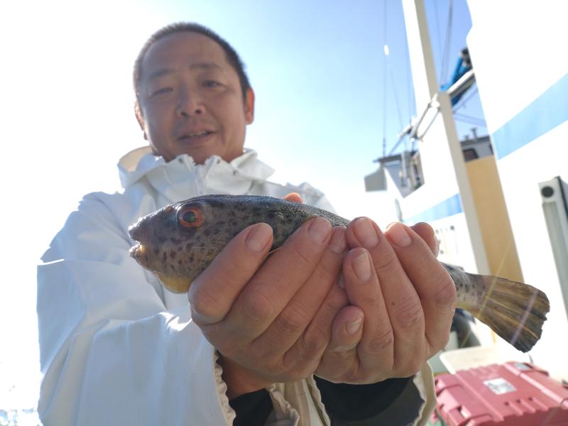 ふぐ釣り好調です！！5枚目