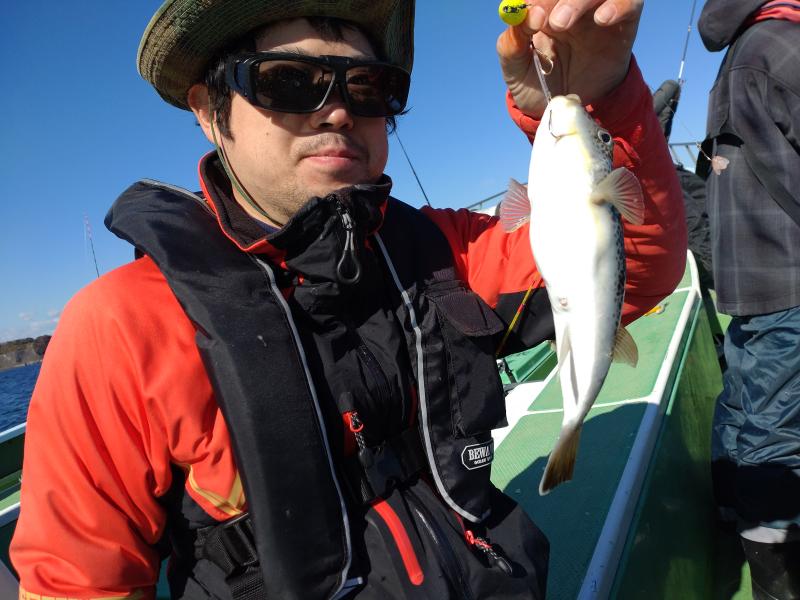 ふぐ釣り好調です！！1枚目