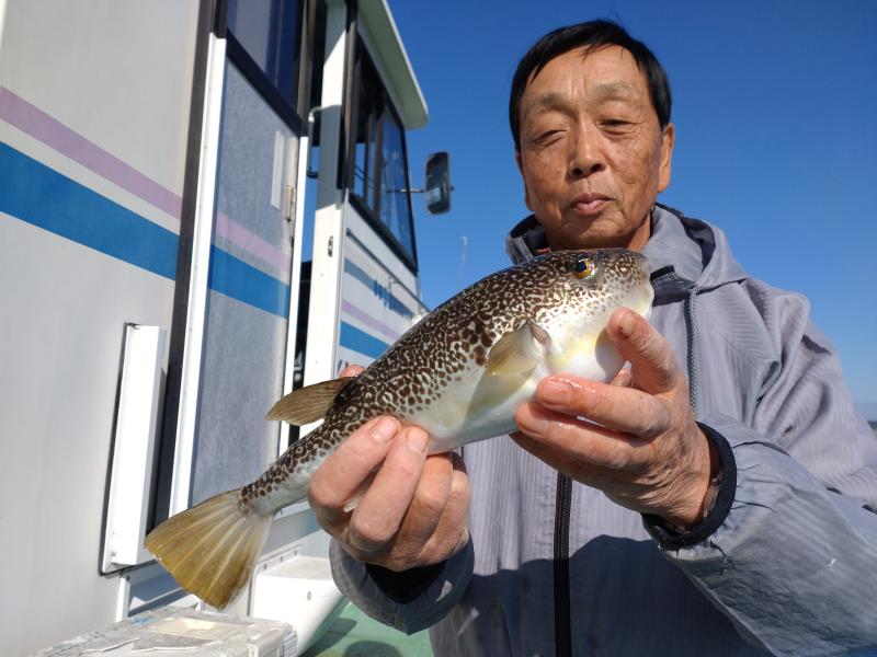 ふぐ釣り好調です！！2枚目