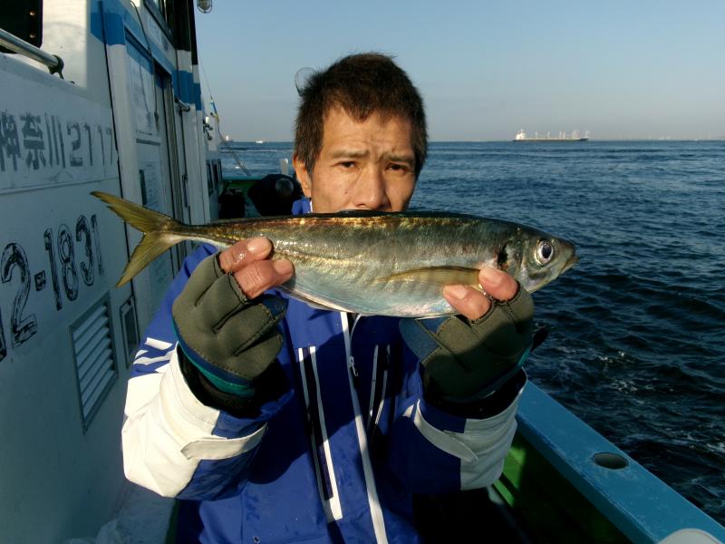 中型アジ入れ食いです！！4枚目