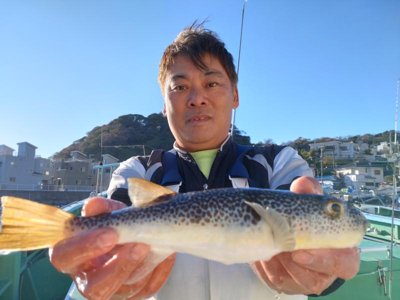 ふぐ釣り好調です！！1枚目