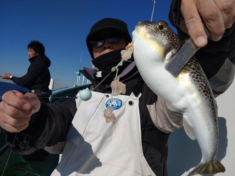 ふぐ釣り好調です！！2枚目