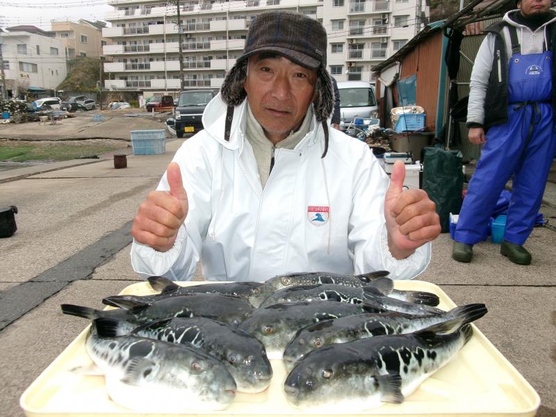 とらふぐ釣り好調です！！2枚目