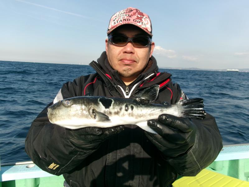 トラフグ釣り3枚目