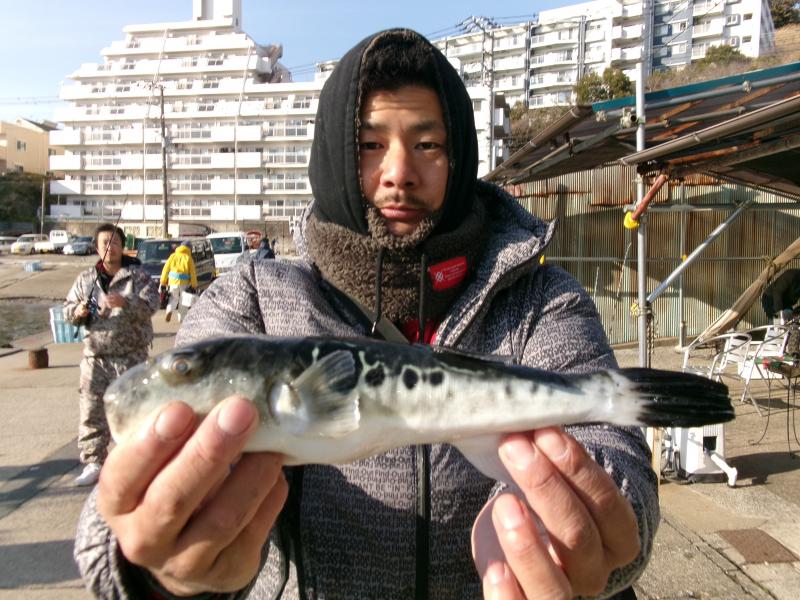 トラフグ釣り4枚目