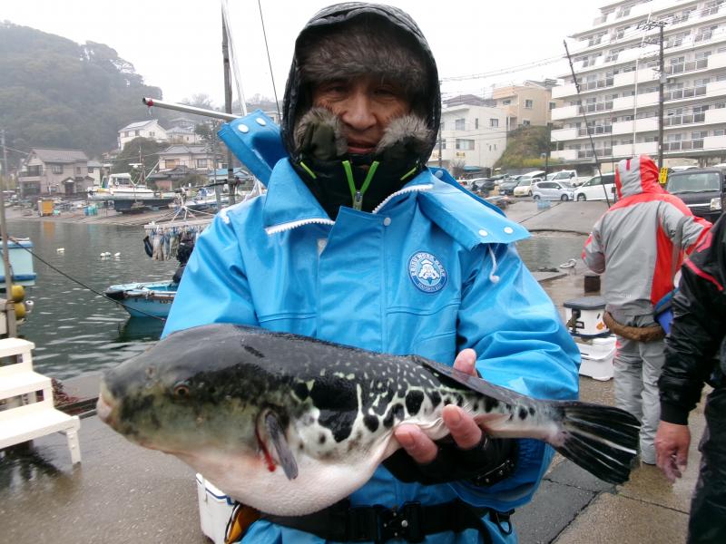 とらふぐ釣り1枚目