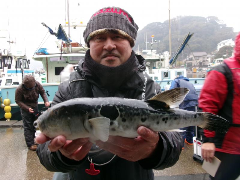 とらふぐ釣り3枚目