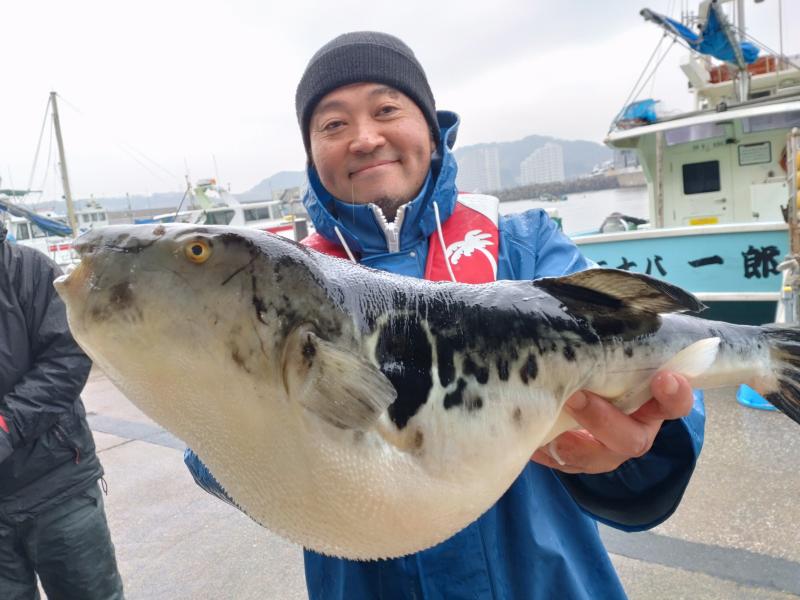 トラフグ釣り1枚目