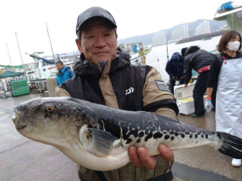 トラフグ釣り4枚目