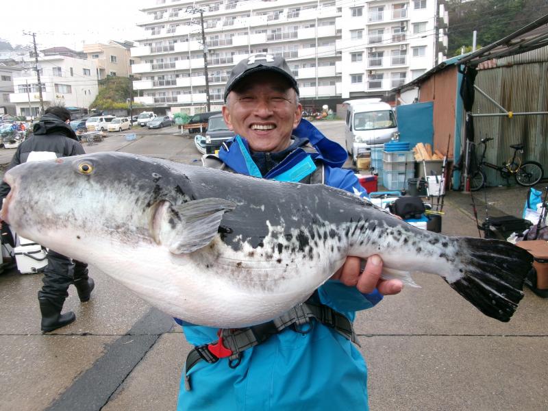 とらふぐ釣り1枚目