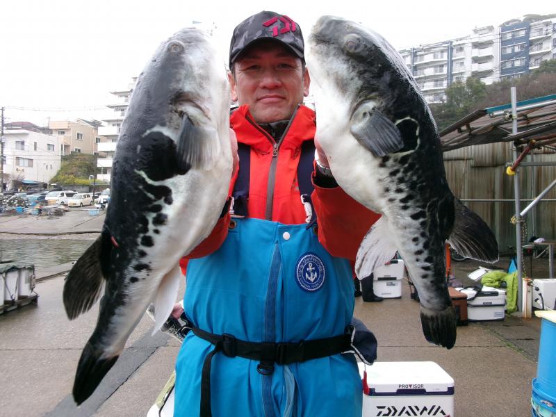 とらふぐ釣り2枚目