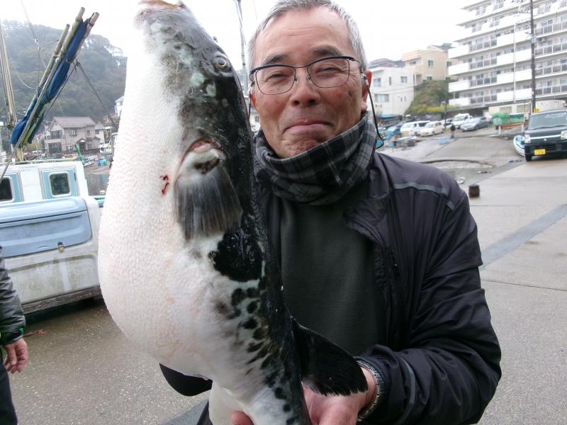 とらふぐ釣り3枚目