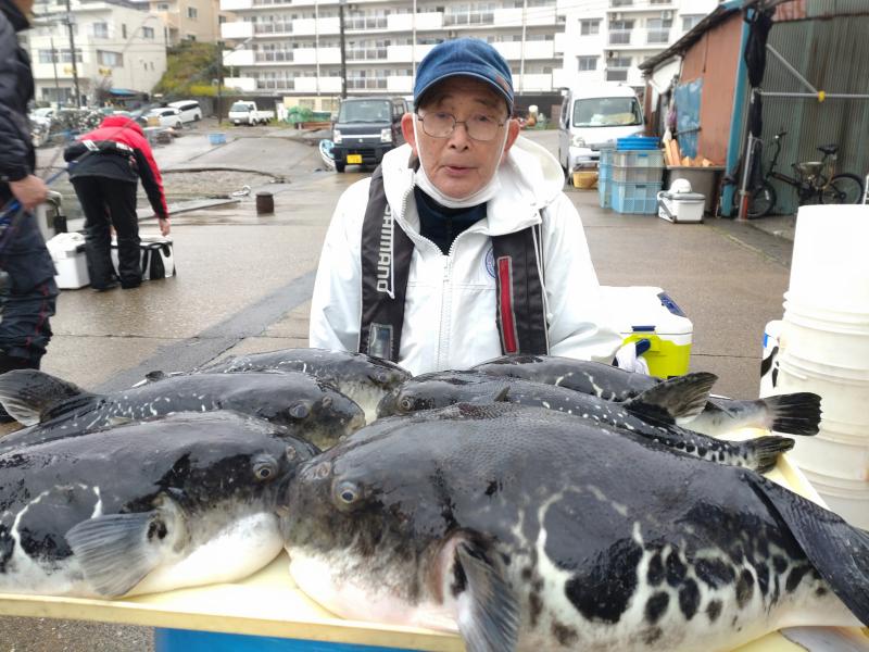 とらふぐ釣り好調です！！1枚目