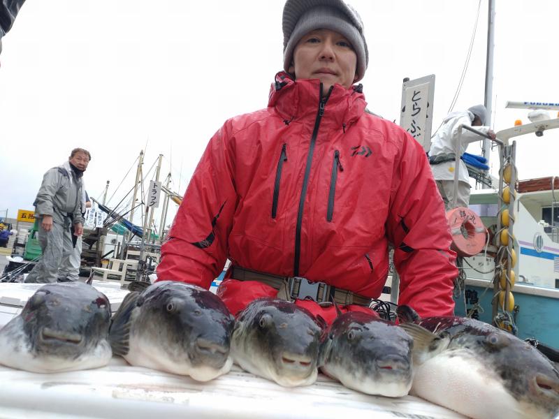 とらふぐ釣り好調です！！4枚目