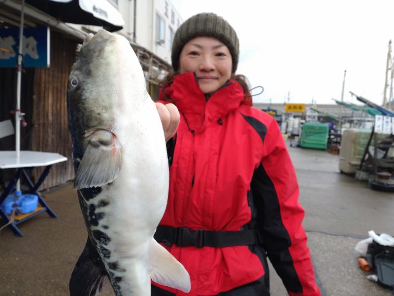 とらふぐ釣り好調です！！5枚目