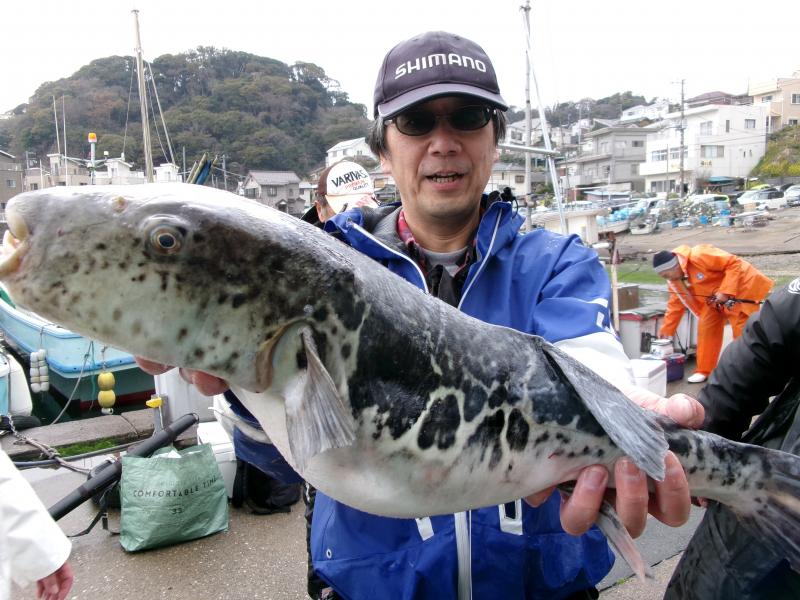 とらふぐ釣り3枚目